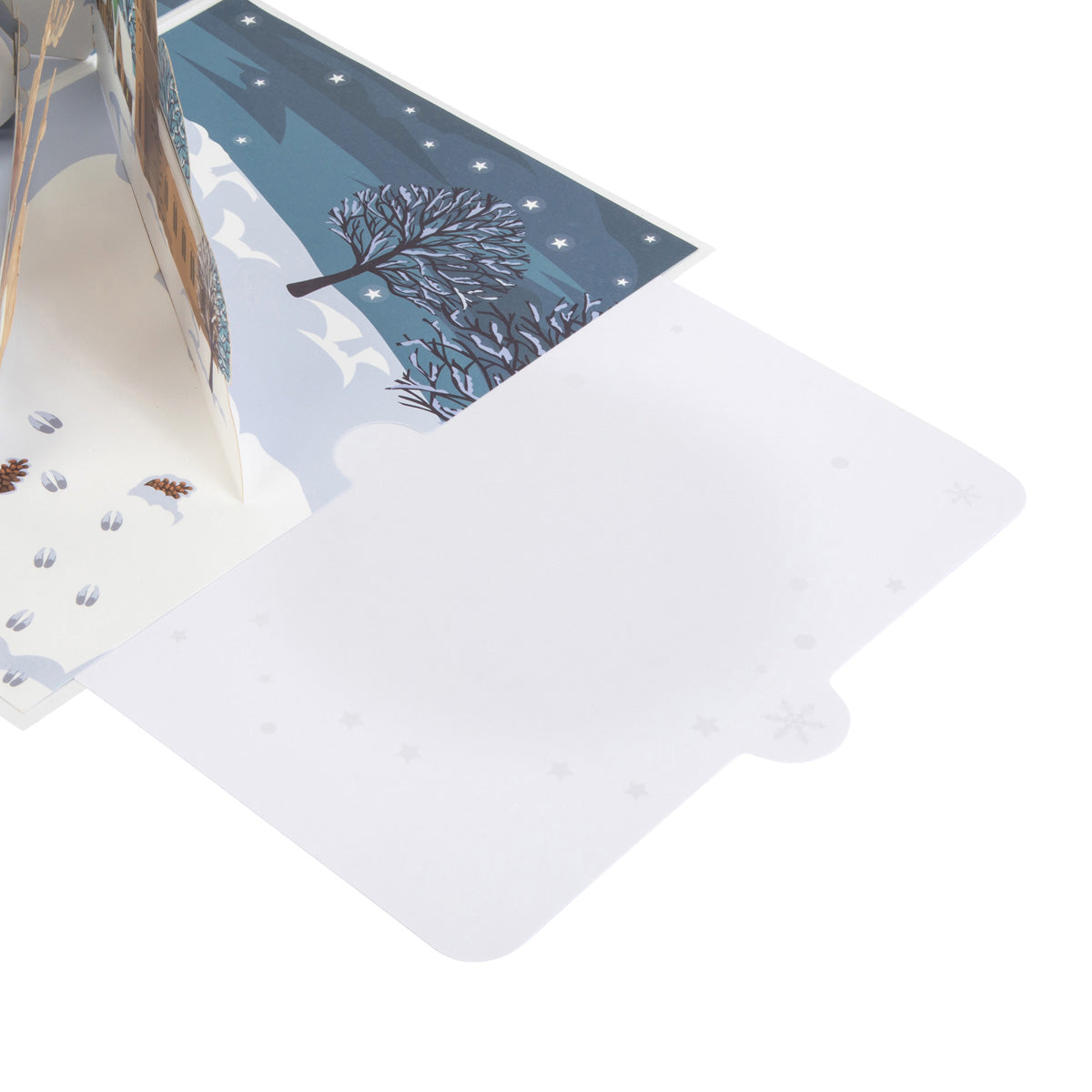 Winter Woodland Pop Up Card