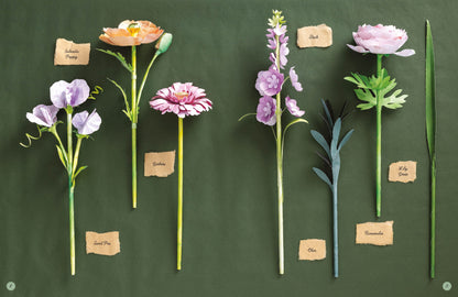 Six artificial paper flower stems with paper labels are arranged on a dark green background. The flowers include light purple sweet pea, peach Icelandic poppy, pink gerbera, lavender, pale blue, and green varieties, styled like botanical specimens.