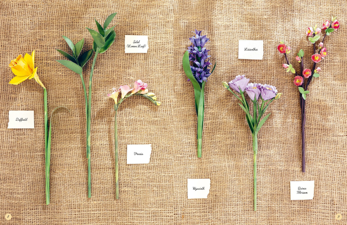 Six paper Spring flower sprigs with handwritten labels are arranged on a natural twine background. The flowers include yellow daffodil, green foliage, pink freesia, purple hyacinth, and red-orange quince blossom.