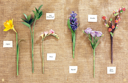 Six paper Spring flower sprigs with handwritten labels are arranged on a natural twine background. The flowers include yellow daffodil, green foliage, pink freesia, purple hyacinth, and red-orange quince blossom.