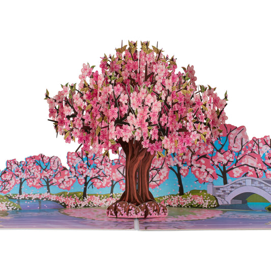 Close up of Pink Cherry Blossom tree pop up card. The tree has a brown trunk and pink blossom flowers, there is a row of smaller cherry blossom trees behind the main pop up tree and an image of a bridge crossing water.