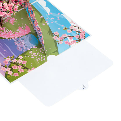 Inside of the Pink Cherry Blossom tree pop up card. The edges of the card show illustrations of pink blossom and to the right of this is the blank slide out note card where you can write your own message.