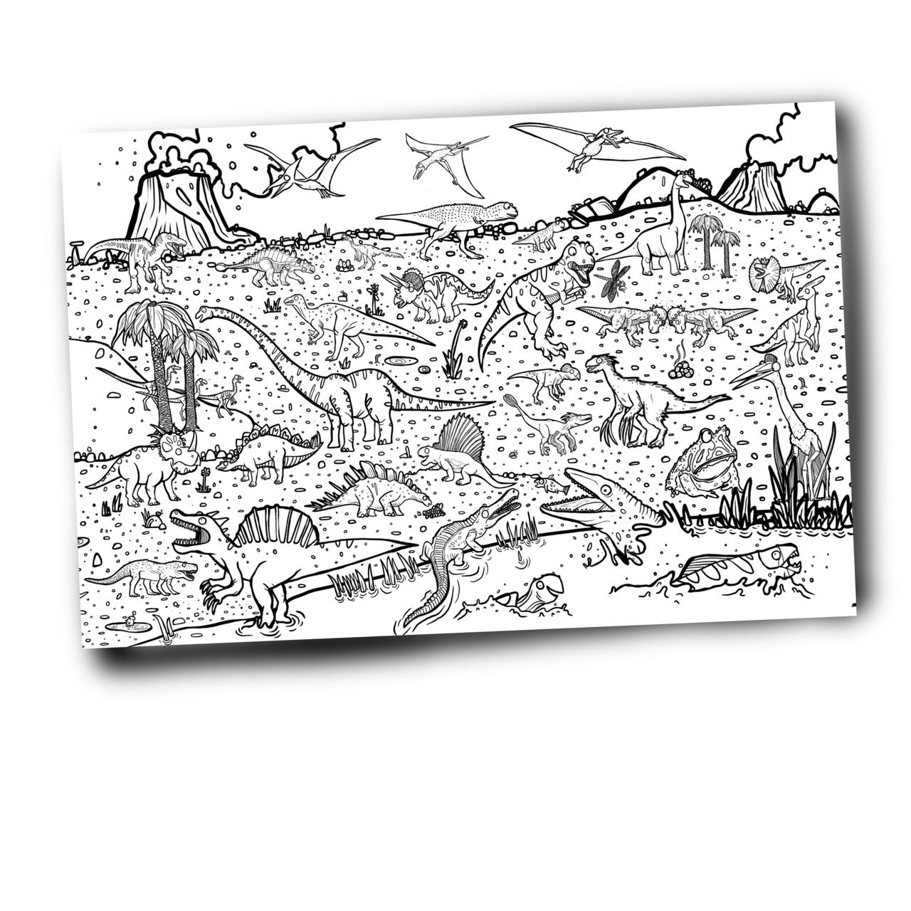 Black and white image of giant colouring poster showing drawings of various dinosaurs.